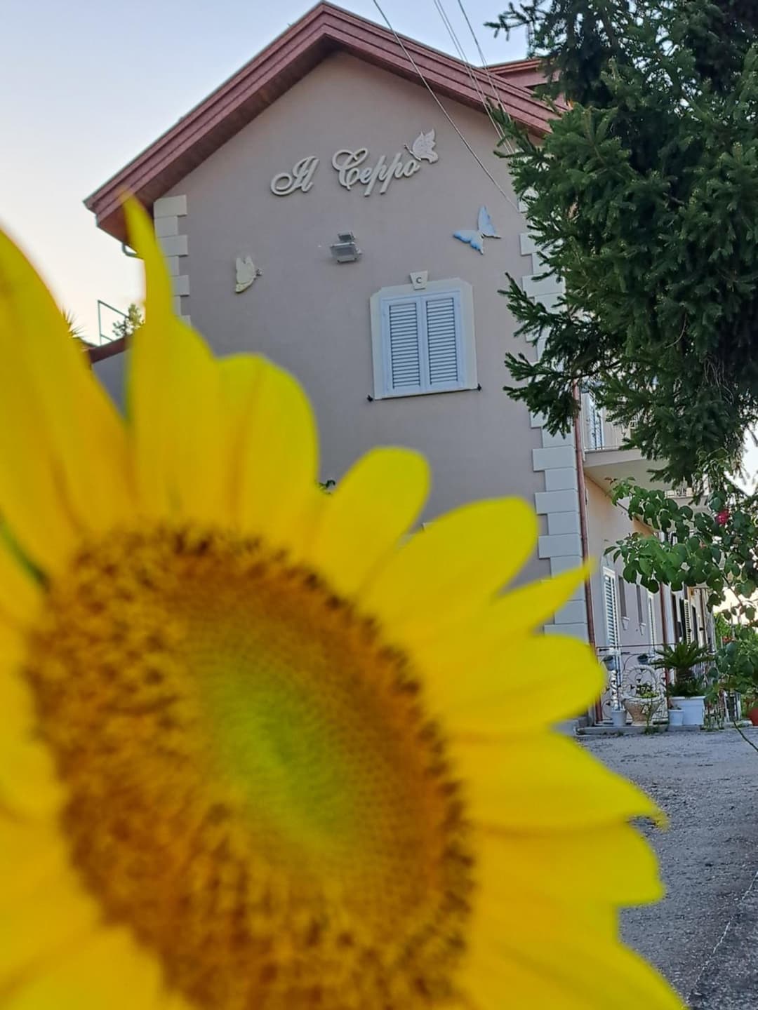 IL CEPPO sui sentieri per Amalfi — photo 1 of 1