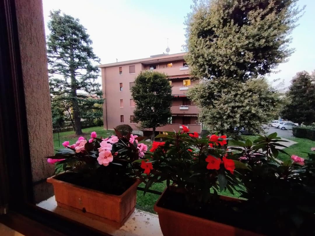 La Dama dei Fiori — photo 1 of 1
