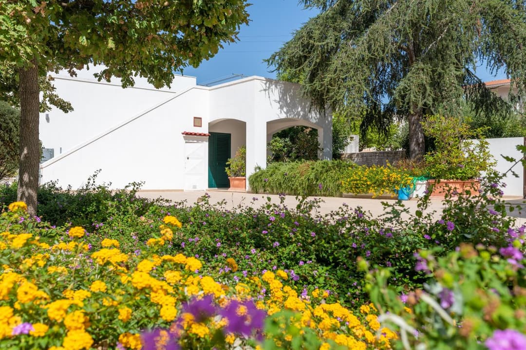 Luoghi di Puglia — photo 1 of 1