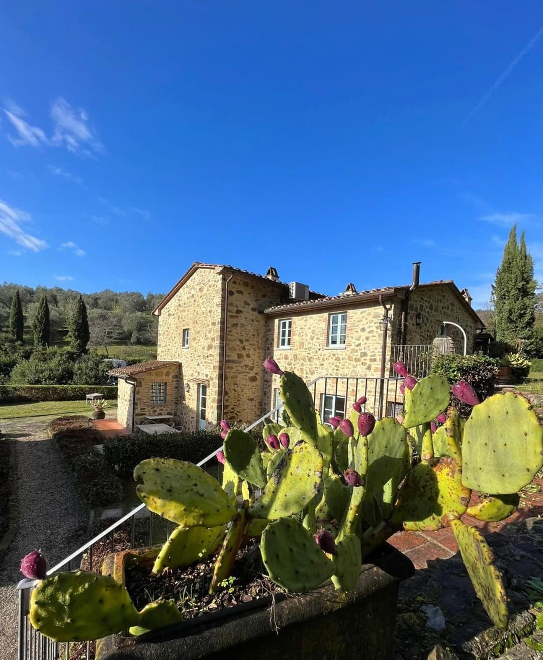Il Borghetto Andrea Tafi — photo 1 of 1