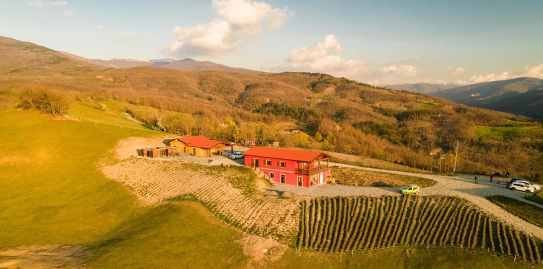 Azienda Agricola Saint Hubert — photo 1 of 50