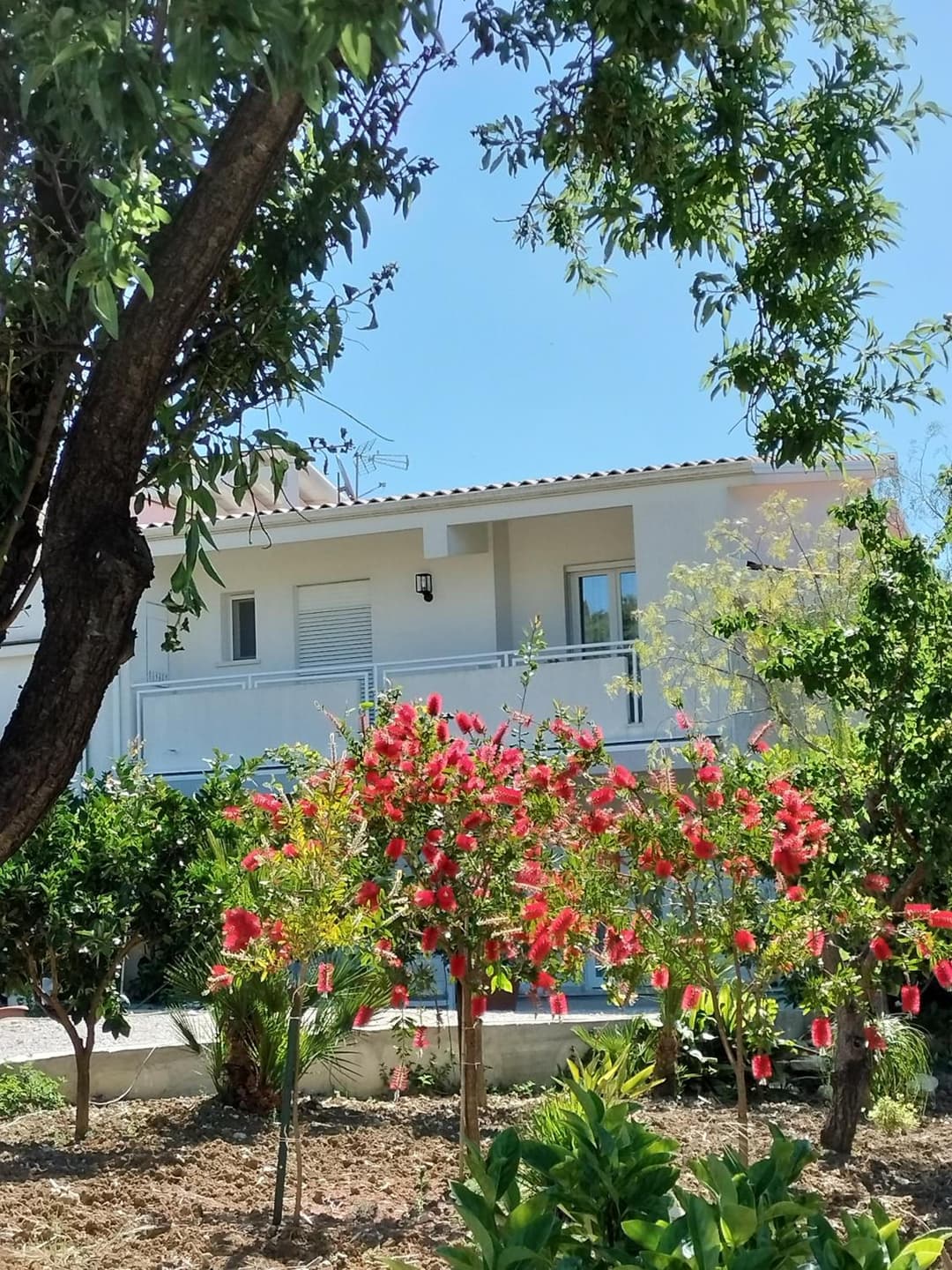 Casa Ferreri — photo 1 of 1