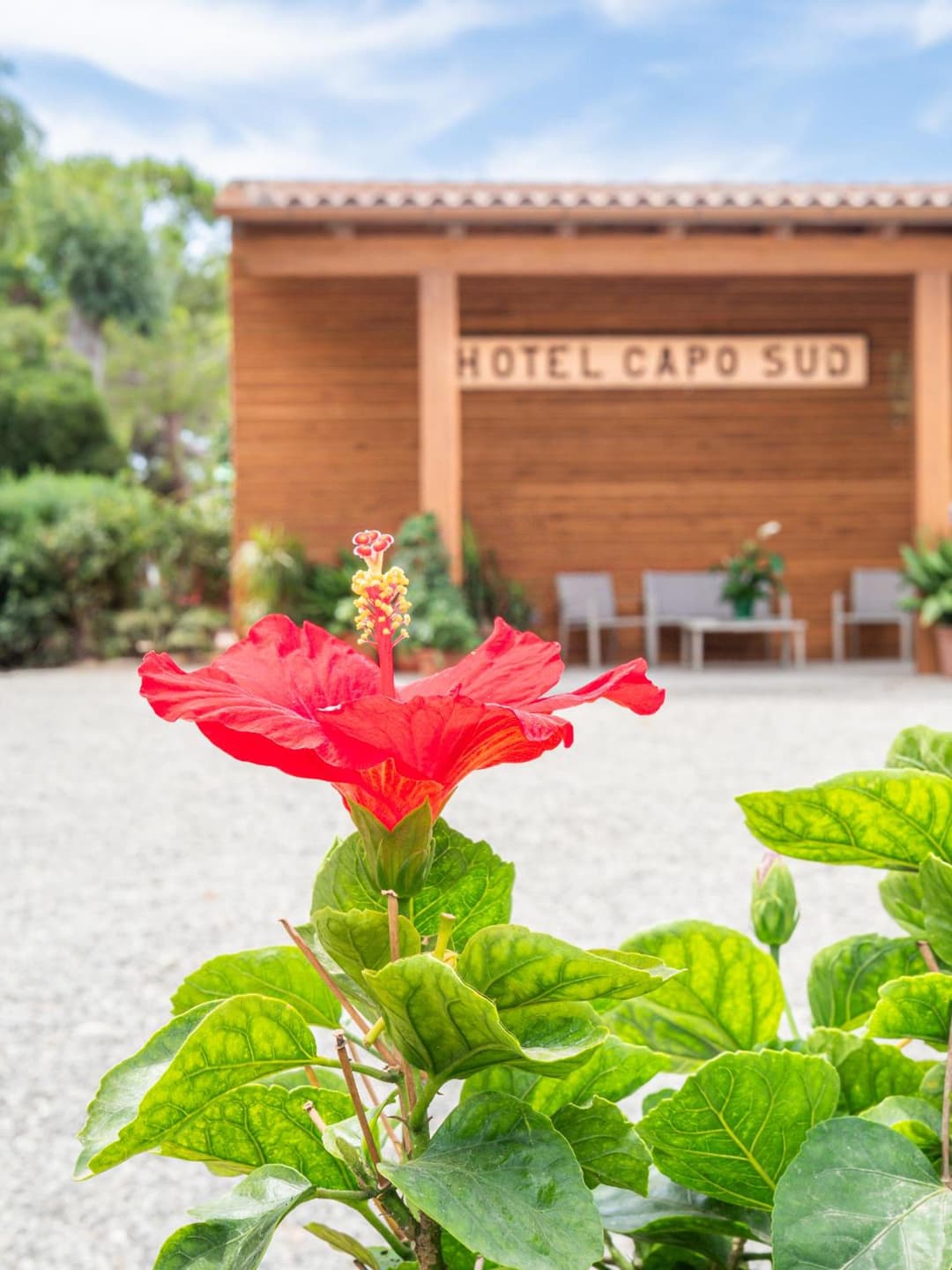 Hotel Capo Sud — photo 1 of 1
