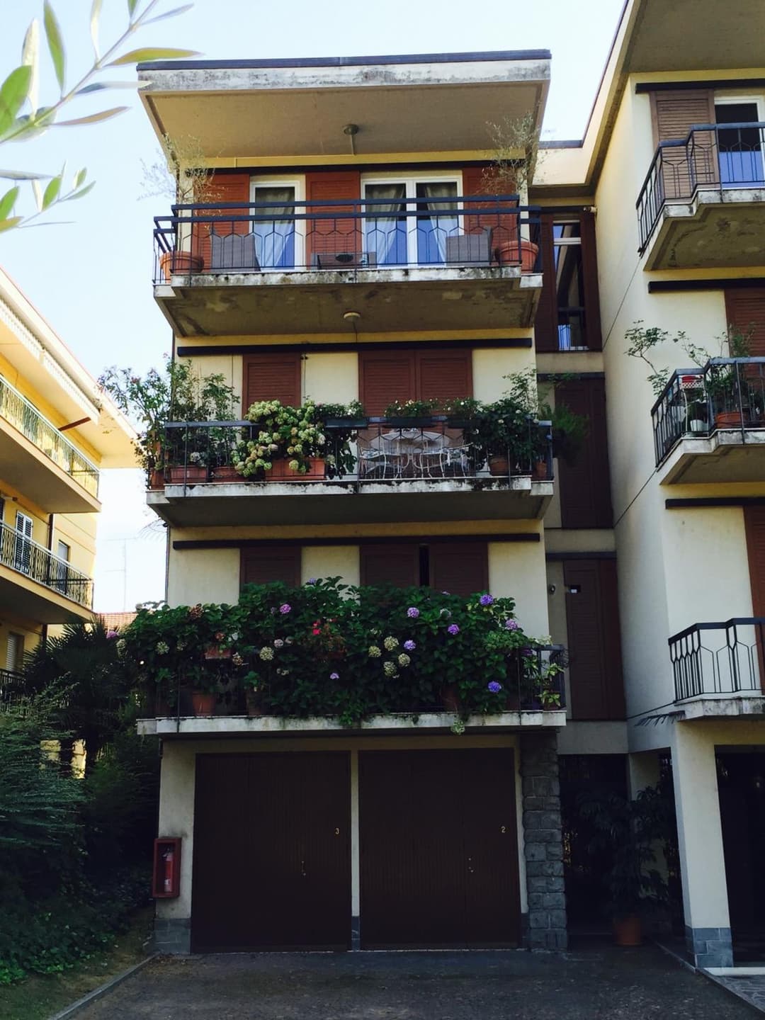 Provenzale — photo 1 of 138