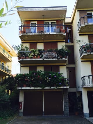 Provenzale