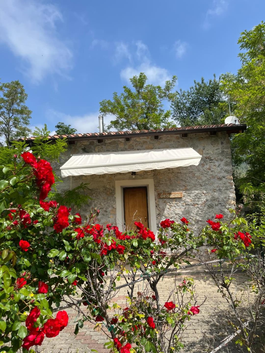 Gelsomino — photo 1 of 1