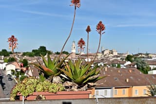 Piccolo paradiso