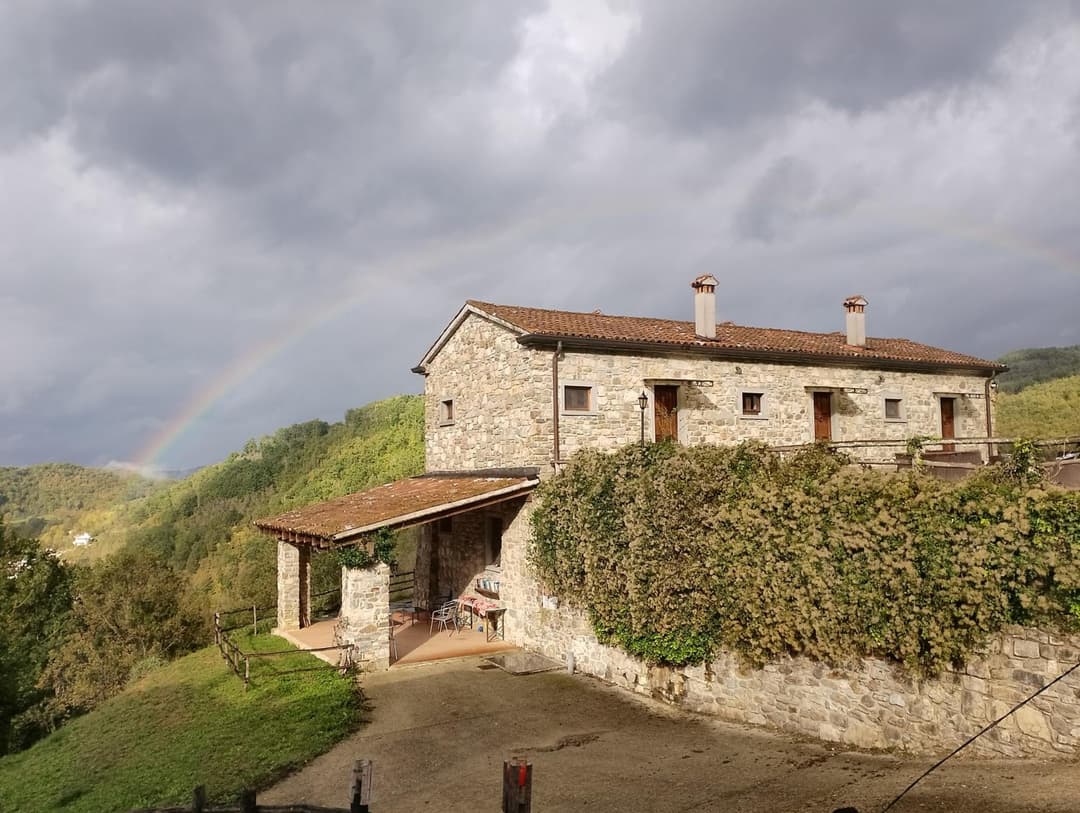 Le Chianine dei Tognoli — photo 1 of 1