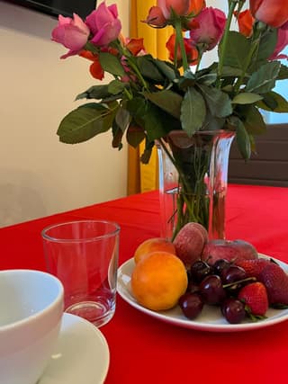 Vasari Florence Apartment - Near SMN Station