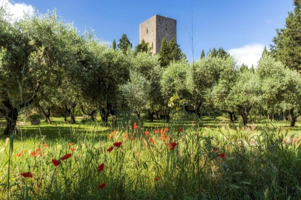 Torre dei Belforti — photo 1 of 1