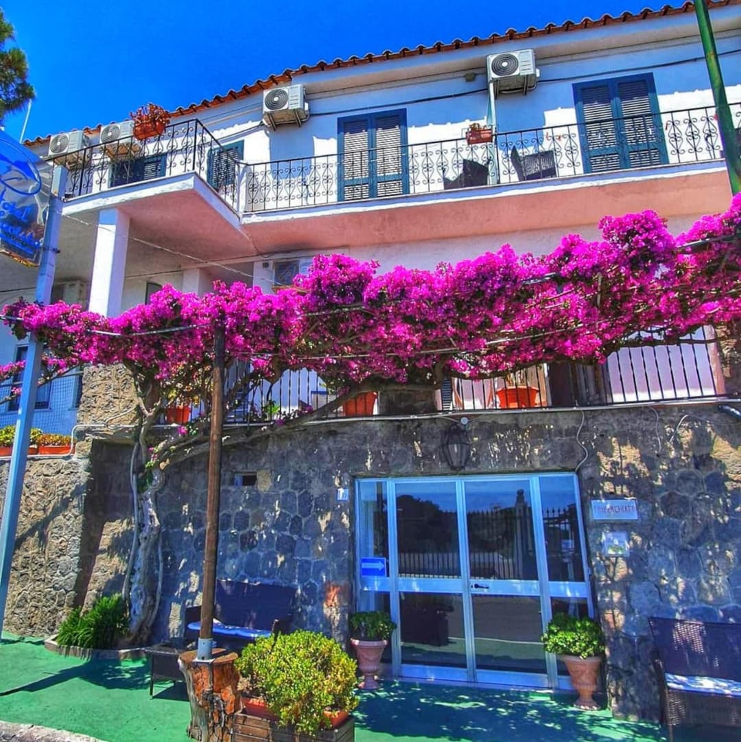 Hotel Bellavista — photo 1 of 1