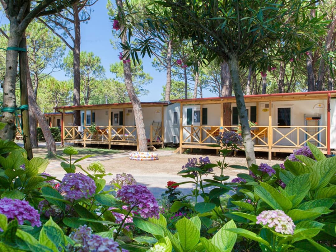Vela Blu Camping Village — photo 1 of 1