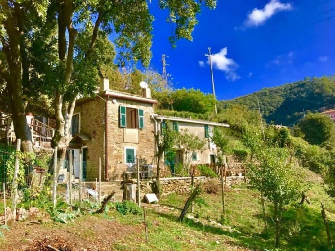 La quiete accesa — photo 1 of 1