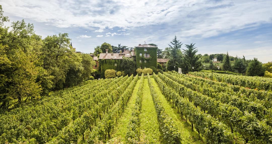 L'Albereta Relais & Chateaux — photo 1 of 1