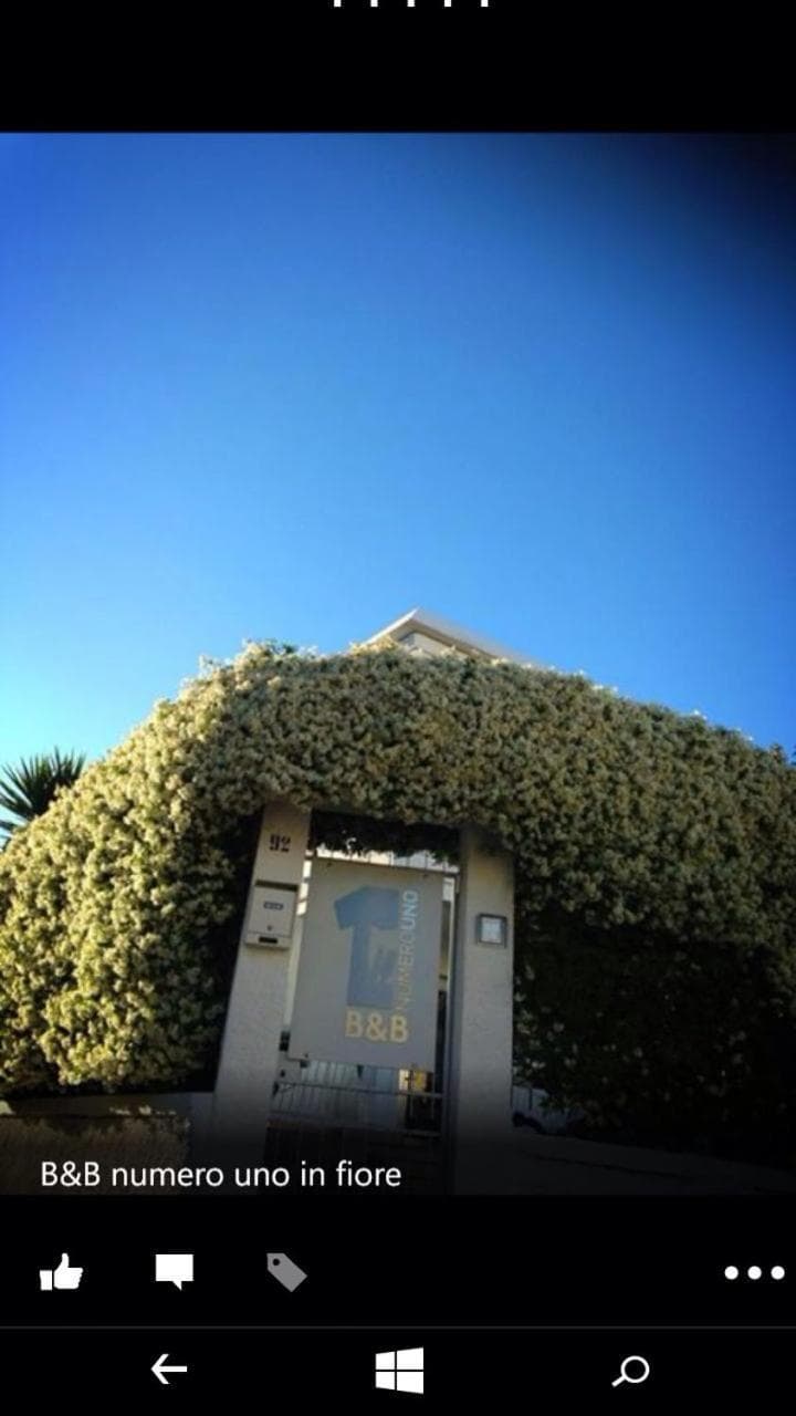 B&B Numero Uno — photo 1 of 1