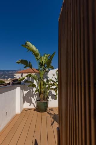 Boutique Suites 186