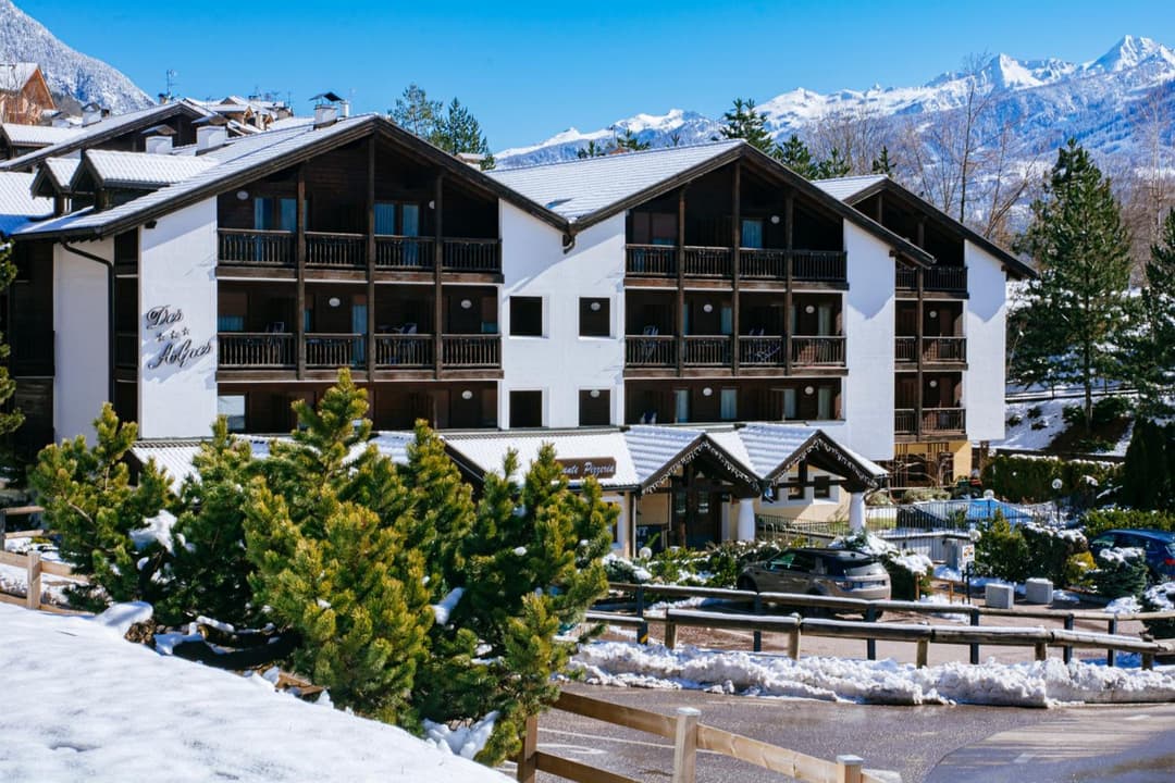Aparthotel Des Alpes — photo 1 of 1