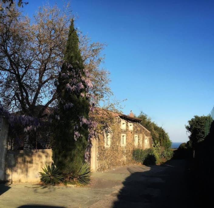 L'Aranceto — photo 1 of 1