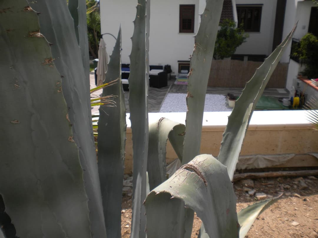 Casa Vacanze Domusangela — photo 1 of 1