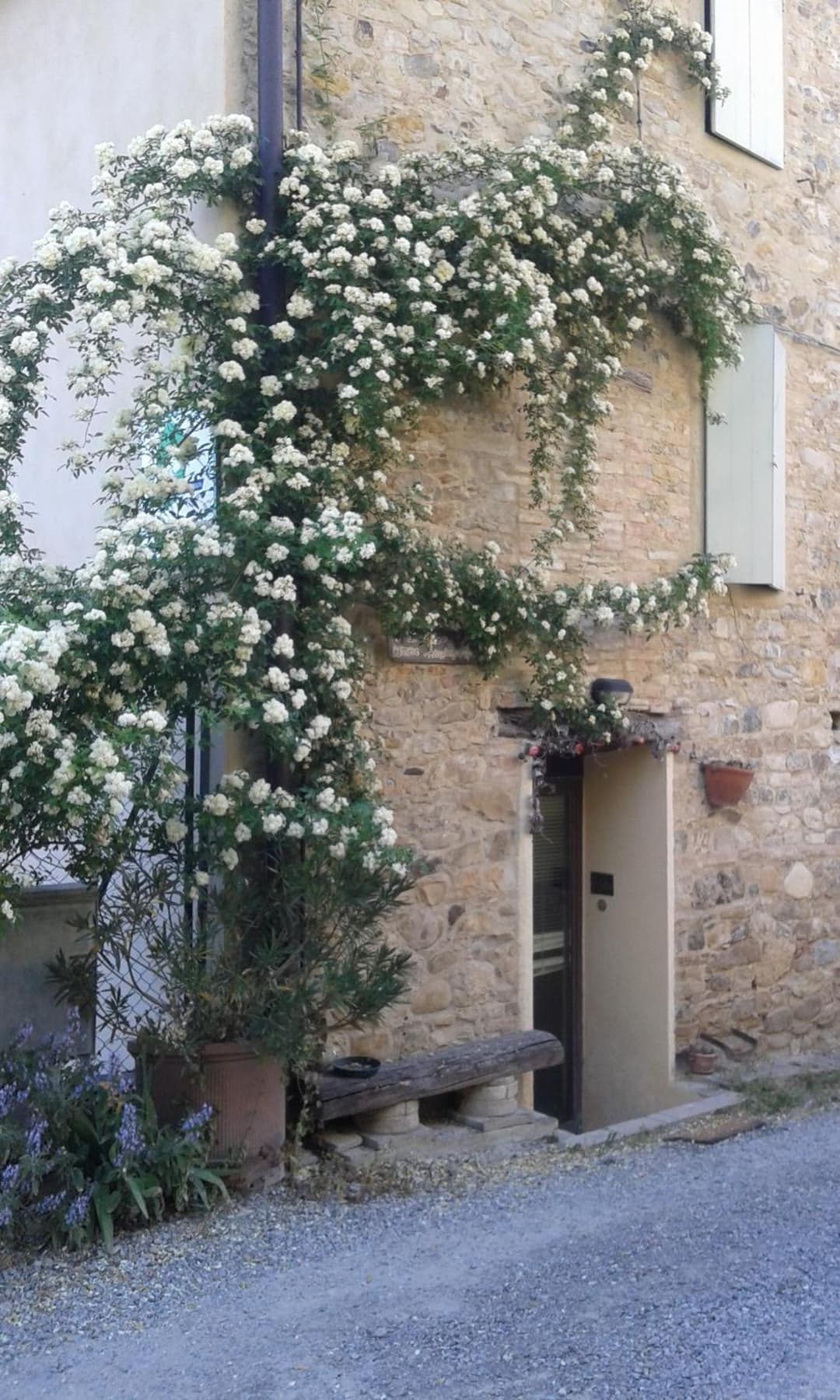 Agriturismo Il Gelso — photo 1 of 32