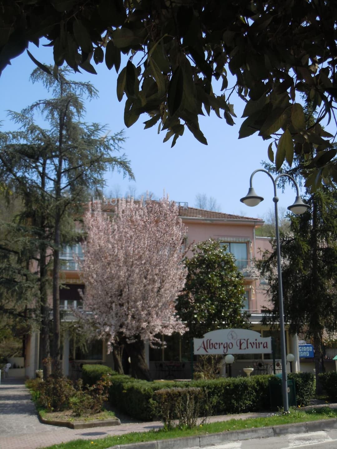 Albergo Elvira — photo 1 of 24