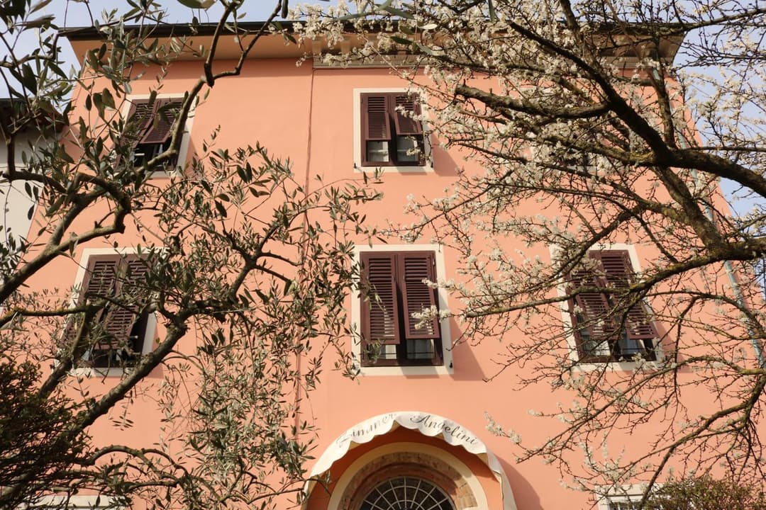 Angelini dal 1911 — photo 1 of 62