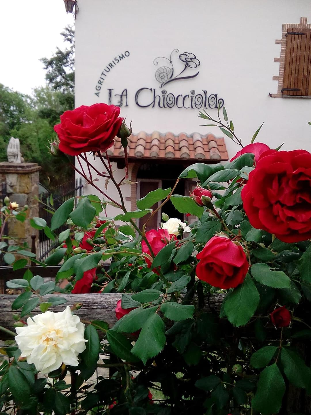 Agriturismo La Chiocciola — photo 1 of 1