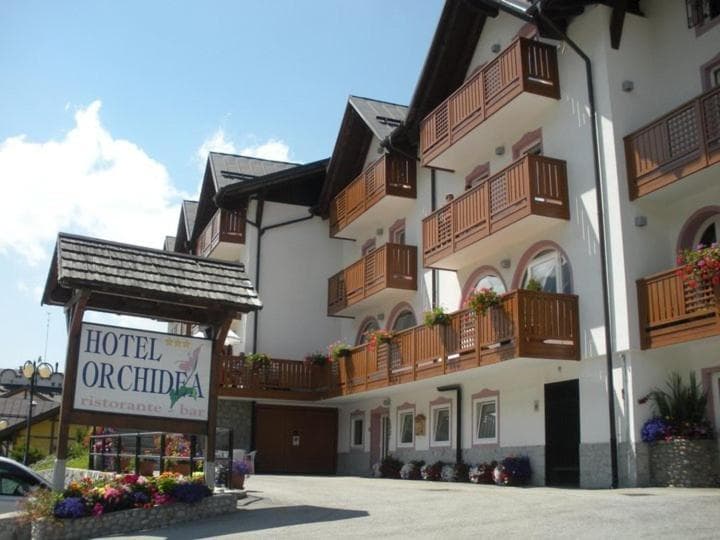 Hotel Orchidea — photo 1 of 55