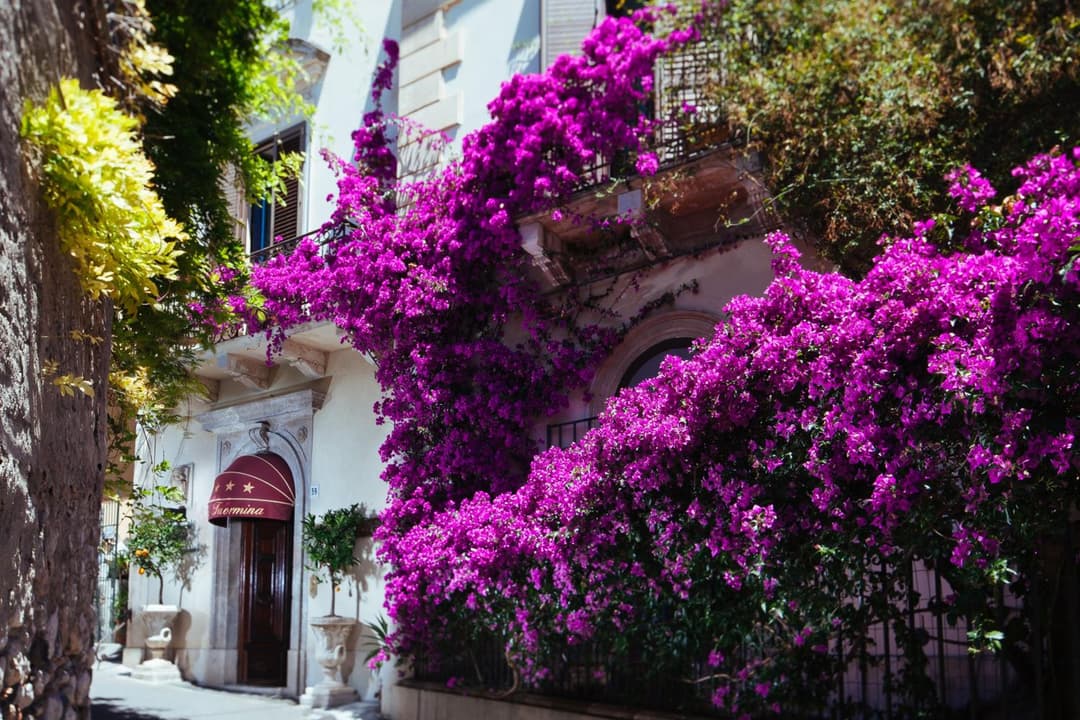 Hotel Villa Taormina — photo 1 of 1