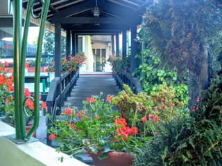 Hotel Country Club