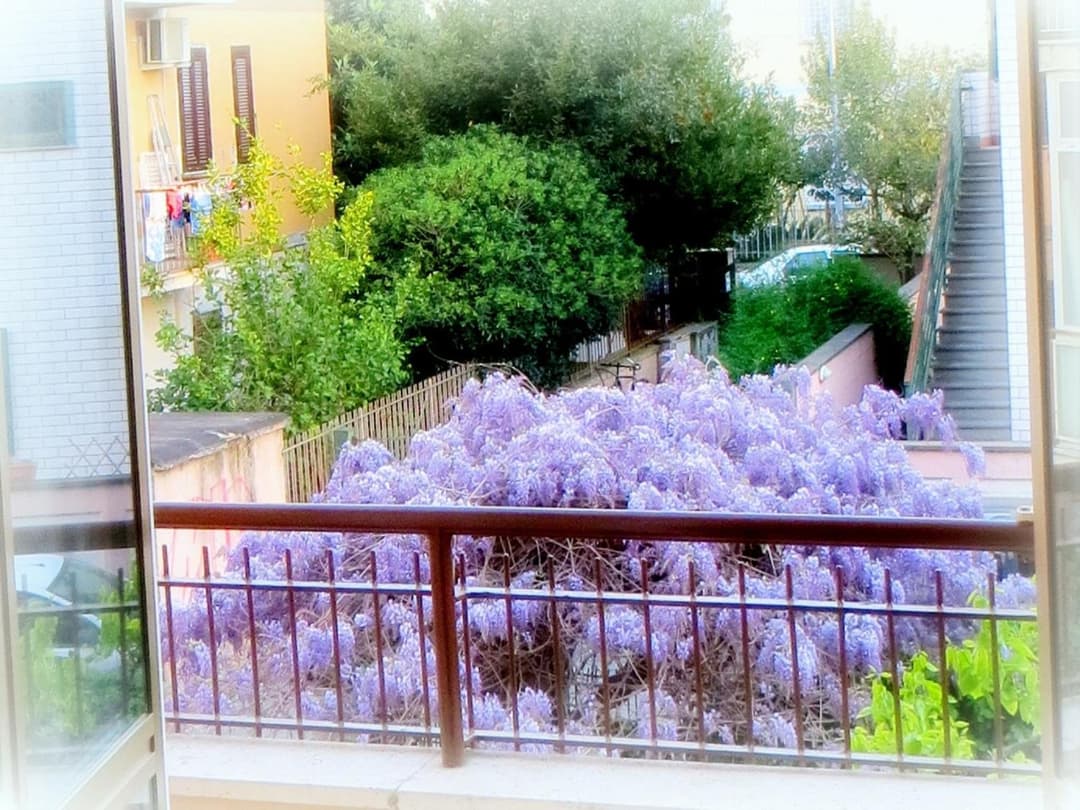 La Casa di Eva — photo 1 of 1