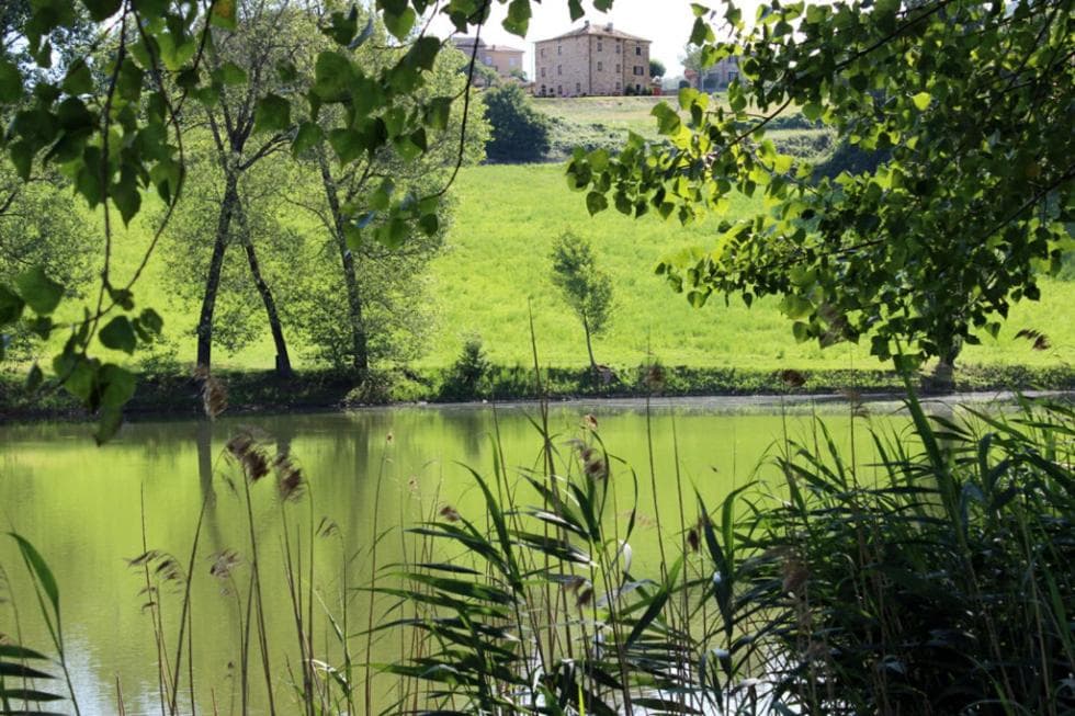 Appartamenti Cenni - Relais su Lago — photo 1 of 1