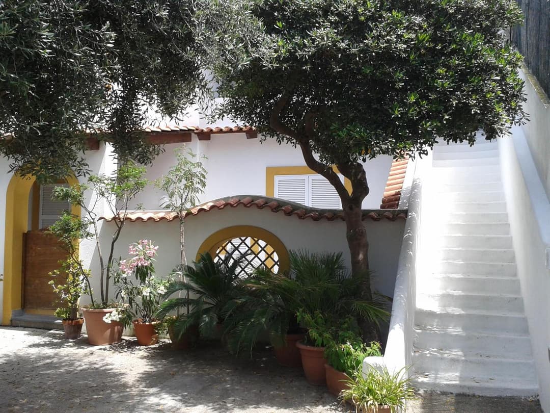 CASA Pitosforo CASA Ulivo — photo 1 of 1