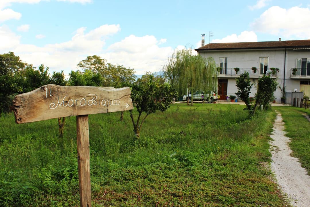 Il Moro Bianco — photo 1 of 1