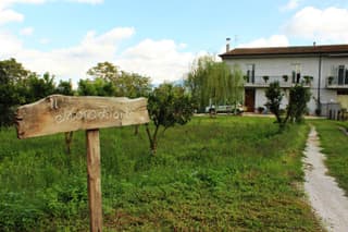 Il Moro Bianco