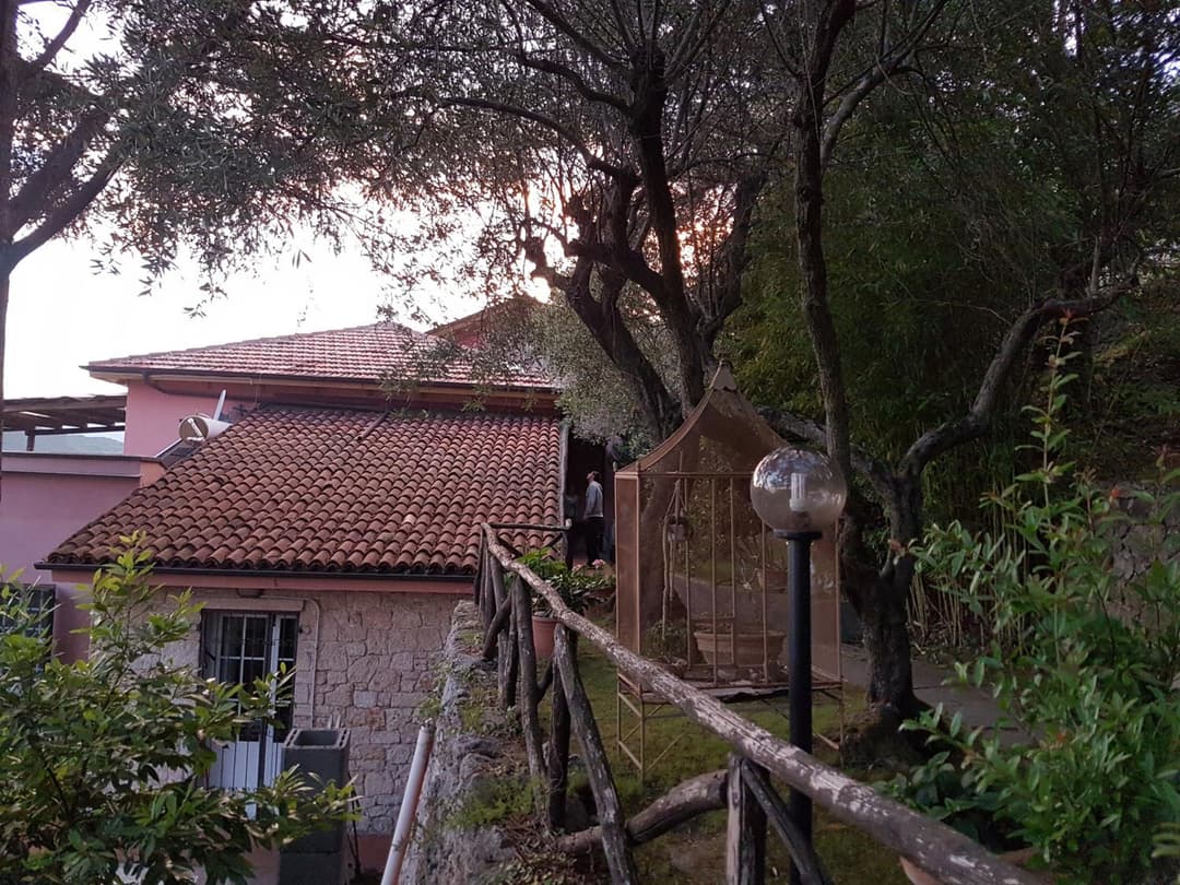 La Camera Tra Gli Ulivi Dream Finale — photo 1 of 11