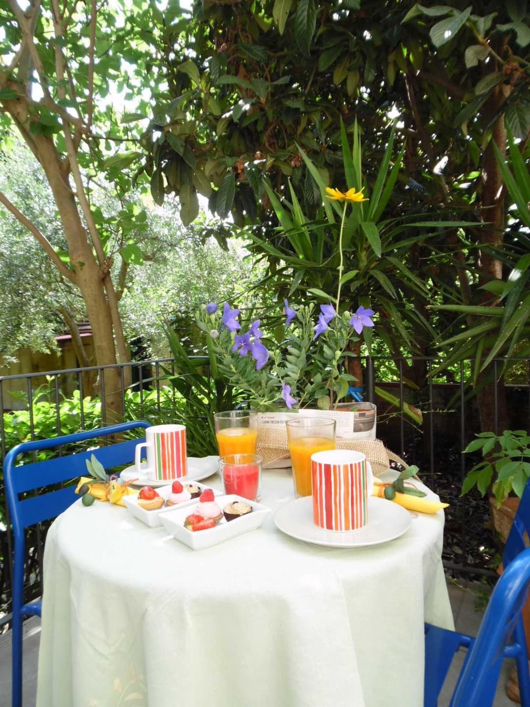 Garden in Florence — photo 1 of 1