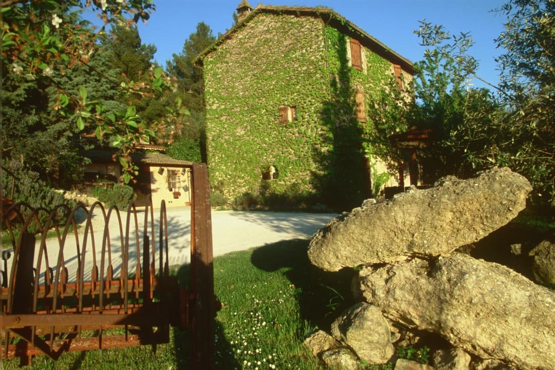 Malvarina — photo 1 of 1