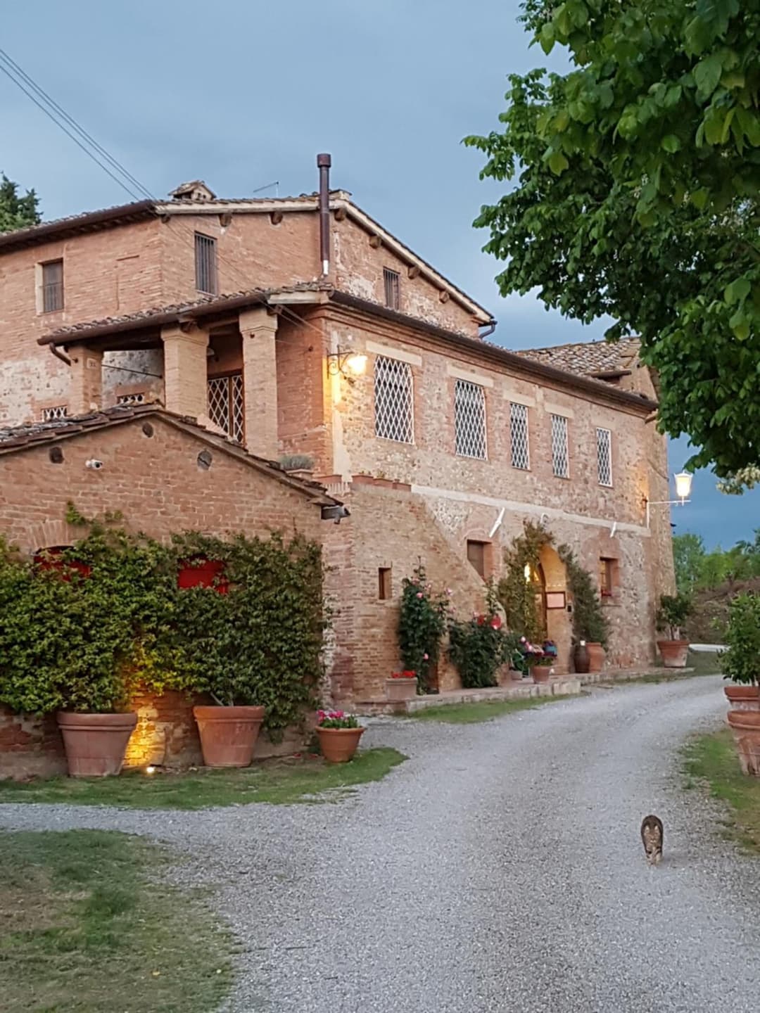 Fattoria Le Pietre Vive di Montaperti — photo 1 of 1