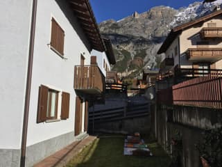 Baitin Finferlo