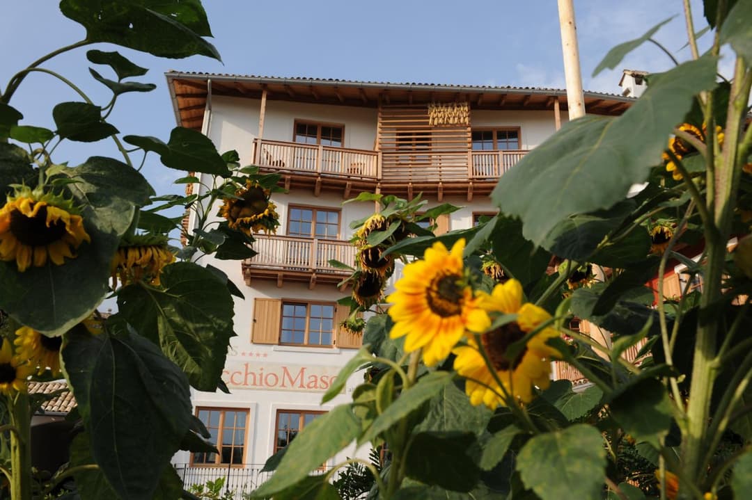 Hotel Relais Vecchio Maso — photo 1 of 1