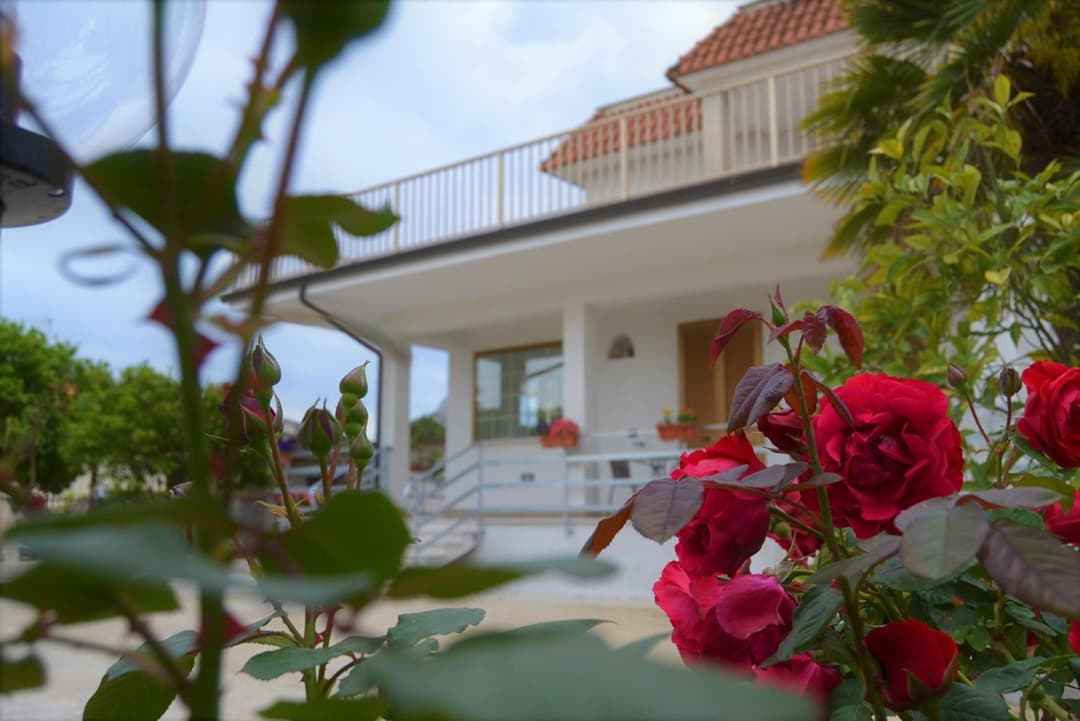 Guesthouse Holiday Formia beach — photo 1 of 1