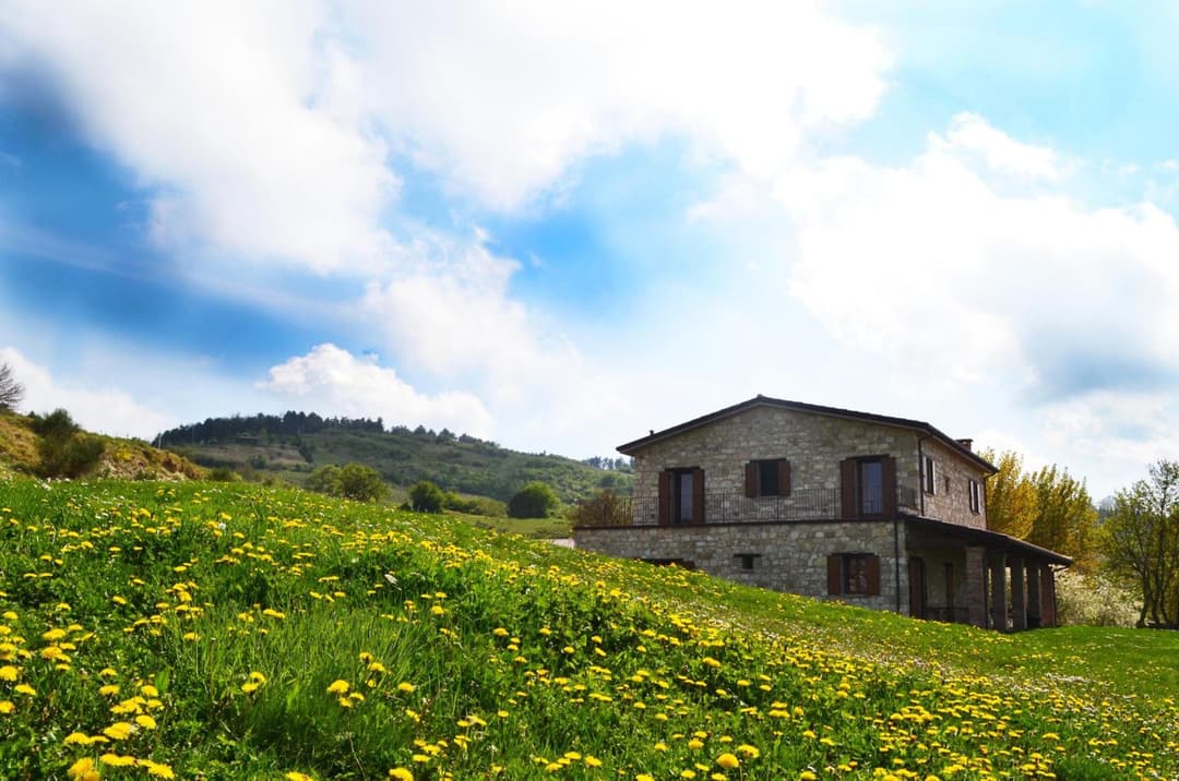 Fattoria Bio L'A Ceccoli — photo 1 of 1