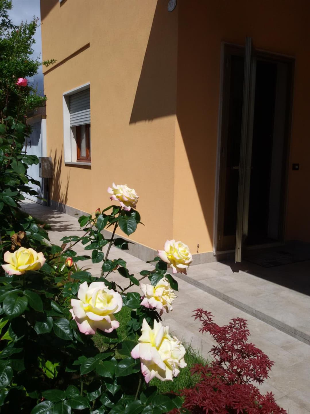 Villa Al Sole — photo 1 of 1
