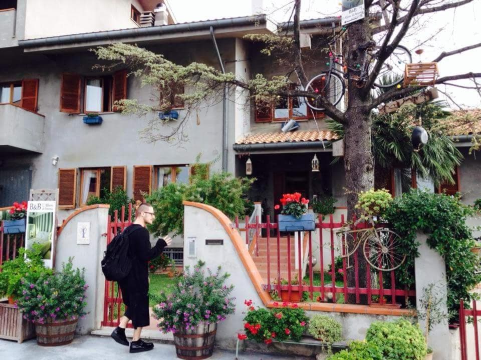 B&B L'Albero Di Antonia — photo 1 of 1