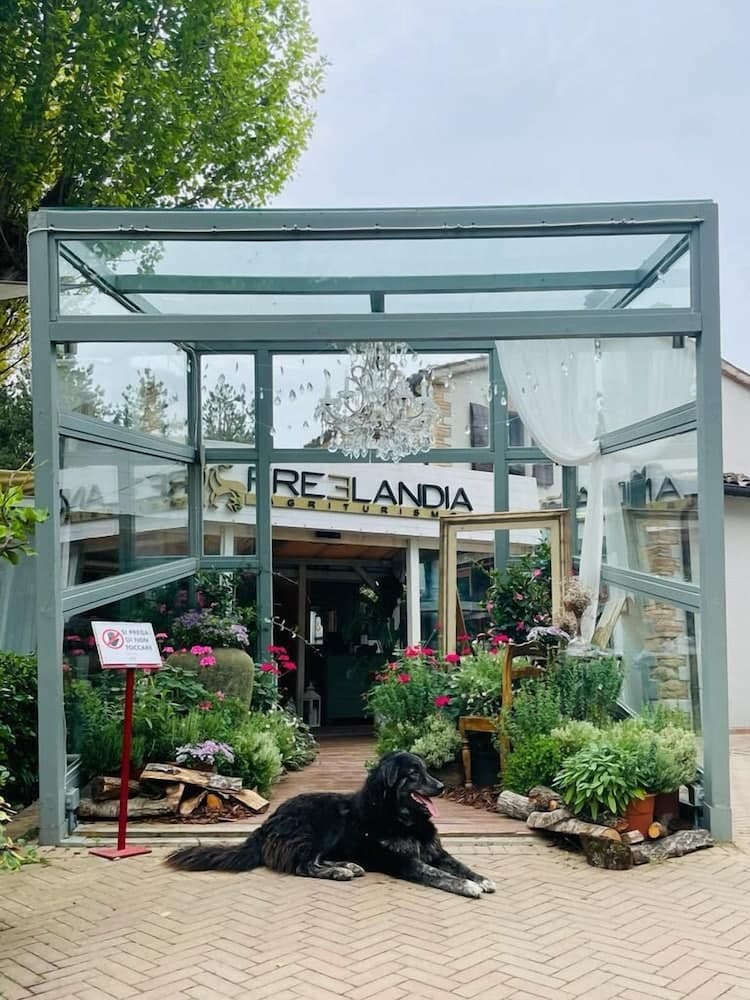 La Valle Dei Caprioli - B&B — photo 1 of 1