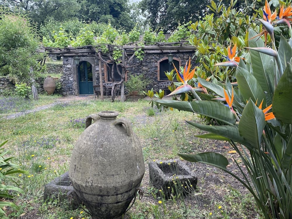 B&B Il Glicine — photo 1 of 1