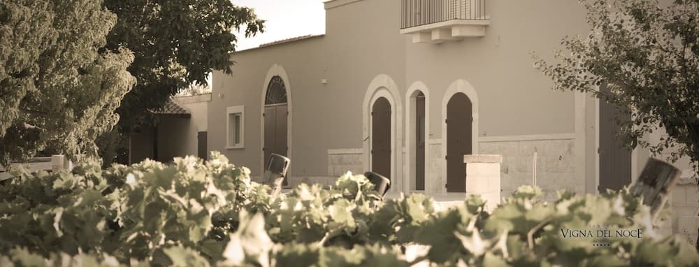 Tenuta Vigna Del Noce — photo 1 of 1