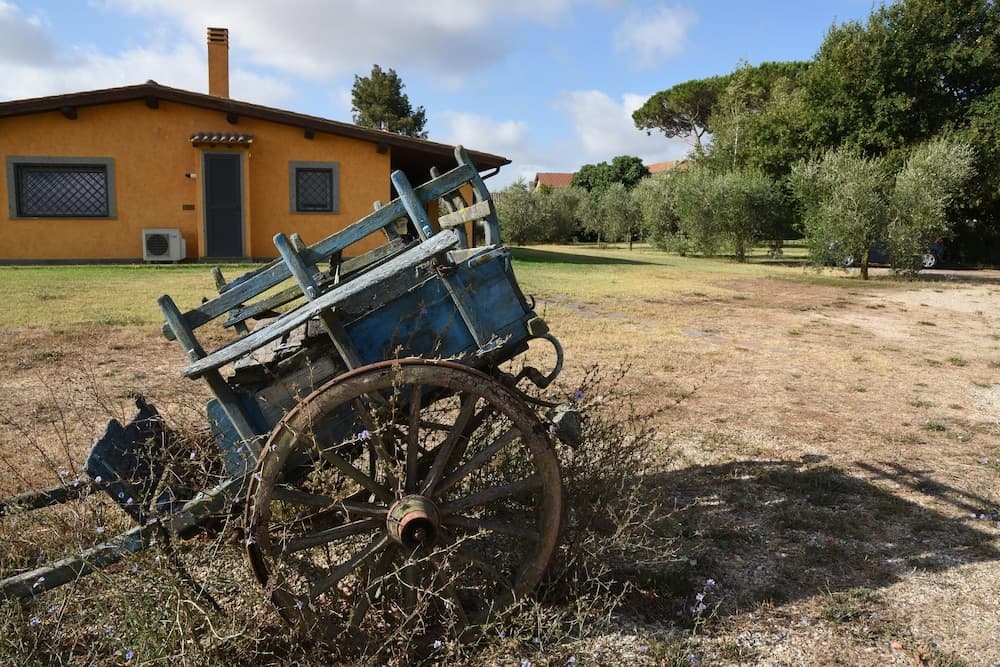 Vigna Di Valle — photo 1 of 1