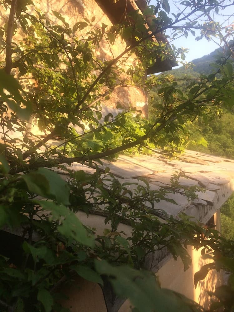 Baldo e Chicca Bed & Breakfast — photo 1 of 40